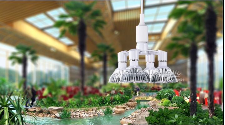 v2-b7669b67048fb1092f95cdd4e73b4e16_720w.jpg v2-b7669b67048fb1092f95cdd4e73b4e16_720w.jpg